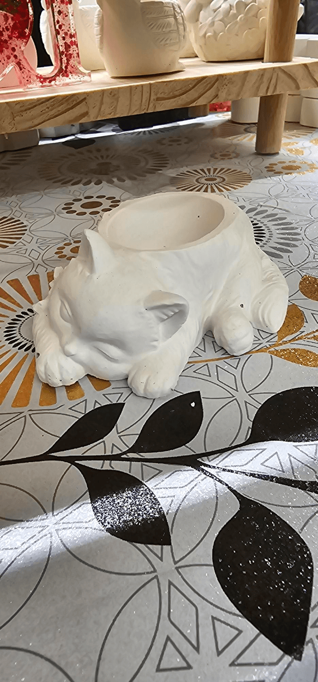Chat endormi