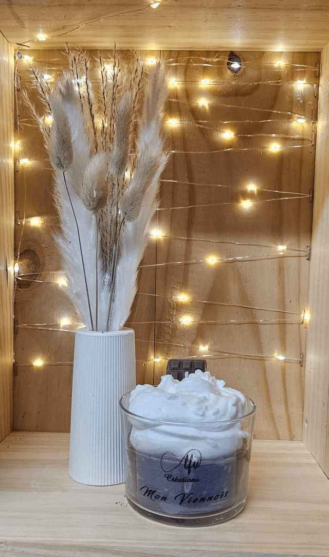 Mon Viennois 